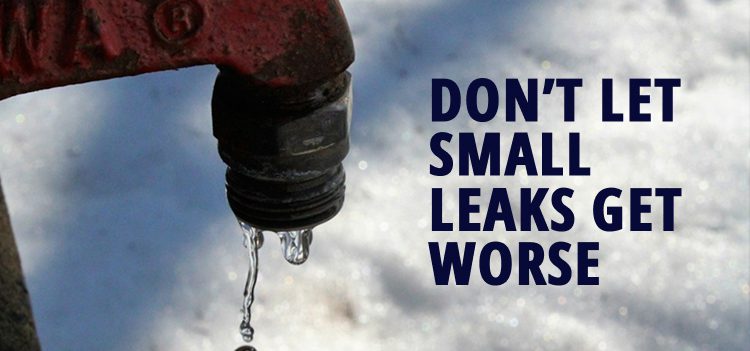 Homeowner Tips: How to Keep Expensive Repairs at Bay in Your Tacoma Home 4 SmallLeaks